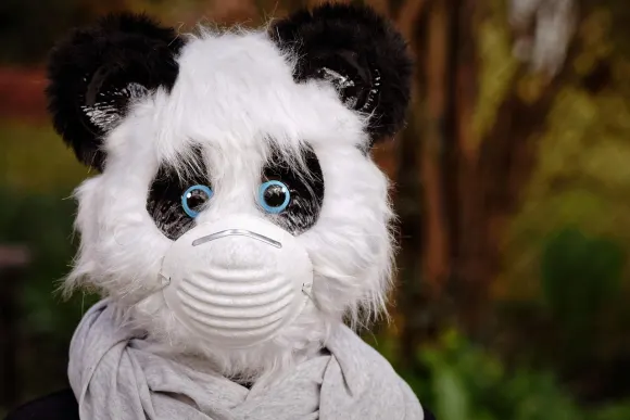 Unibet Casino Tacaíocht